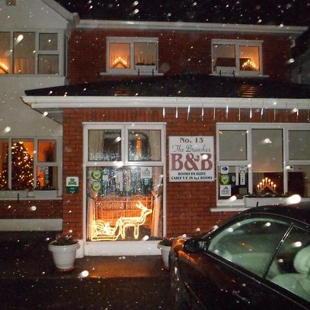 The Branches B&B Galway Exteriör bild